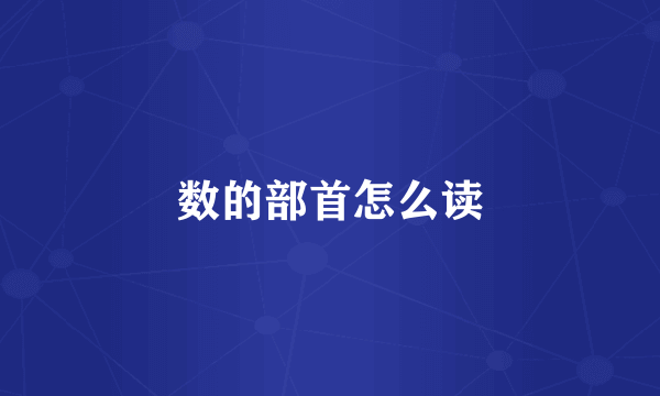 数的部首怎么读