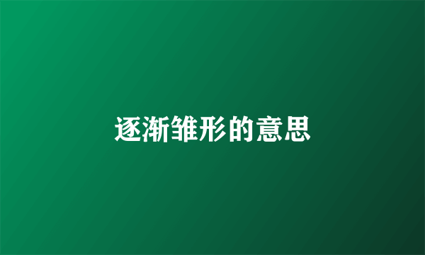 逐渐雏形的意思