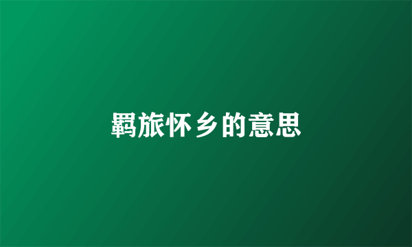 羁旅怀乡的意思