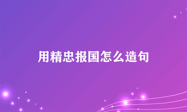 用精忠报国怎么造句
