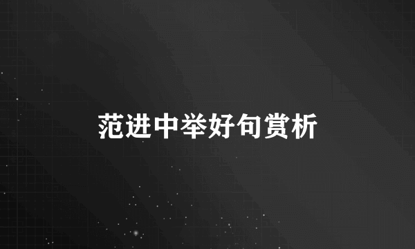 范进中举好句赏析