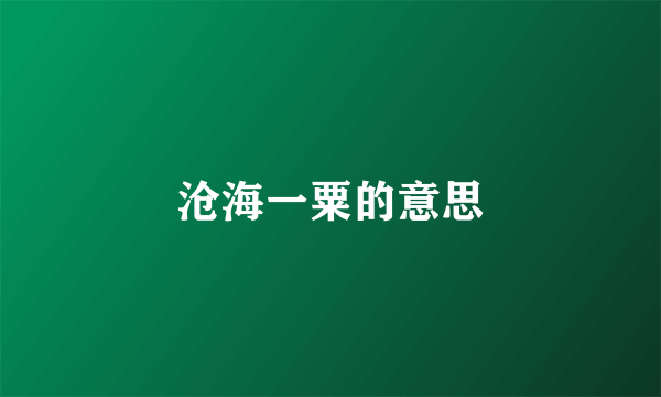 沧海一粟的意思