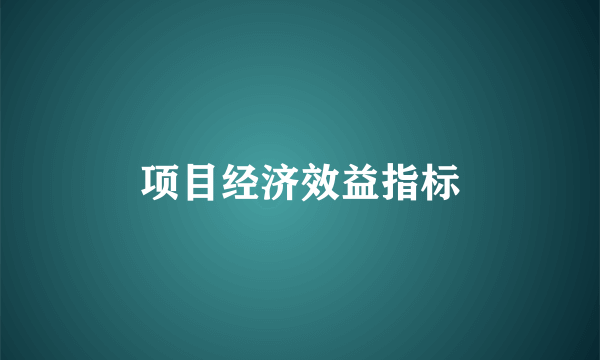 项目经济效益指标