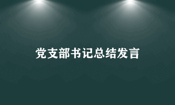 党支部书记总结发言