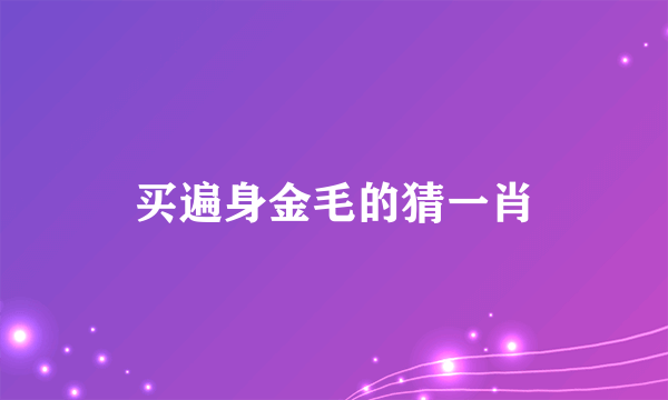买遍身金毛的猜一肖