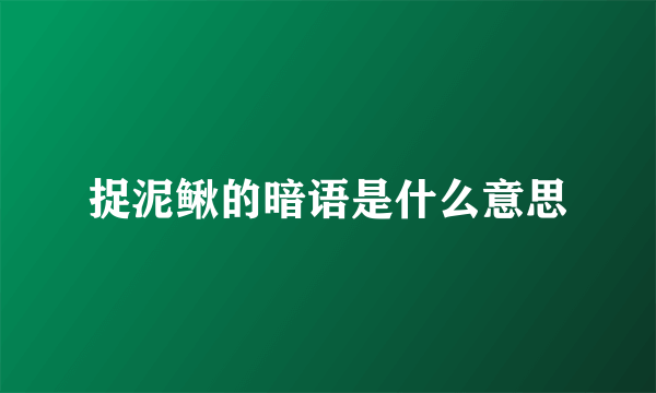捉泥鳅的暗语是什么意思