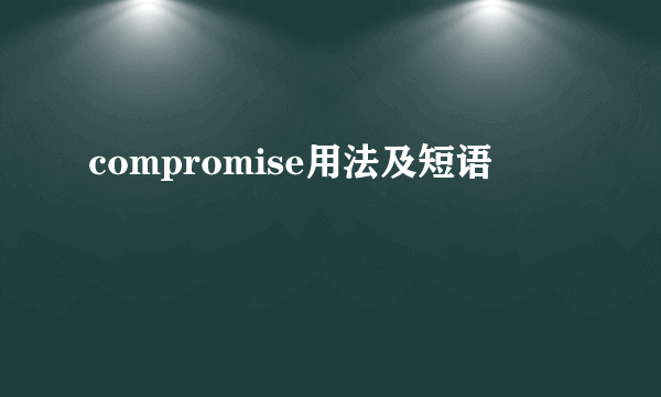 compromise用法及短语