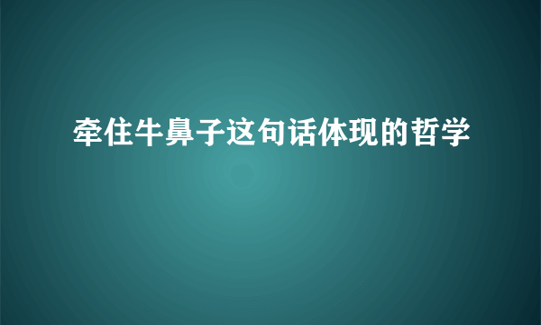 牵住牛鼻子这句话体现的哲学