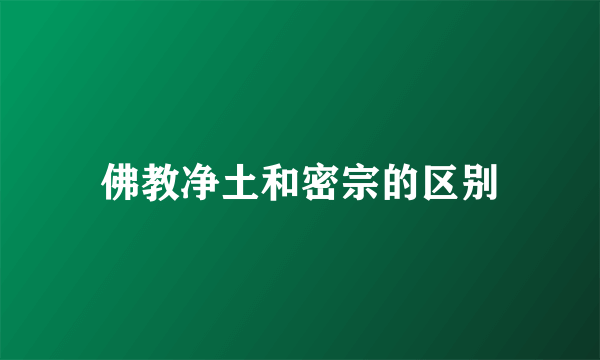 佛教净土和密宗的区别