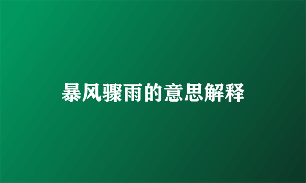 暴风骤雨的意思解释