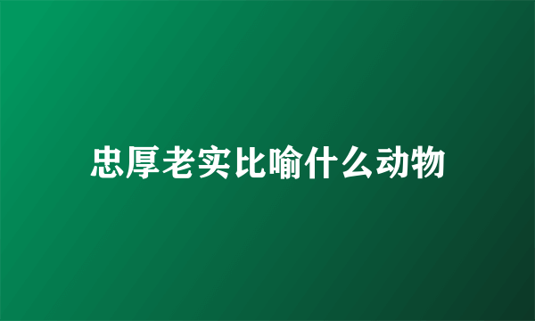 忠厚老实比喻什么动物