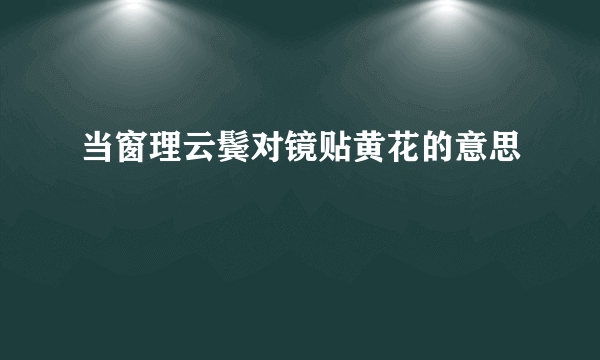 当窗理云鬓对镜贴黄花的意思