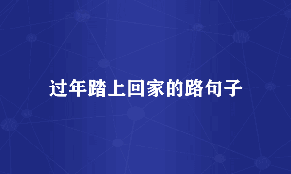 过年踏上回家的路句子