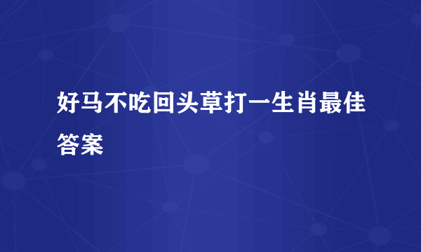 好马不吃回头草打一生肖最佳答案