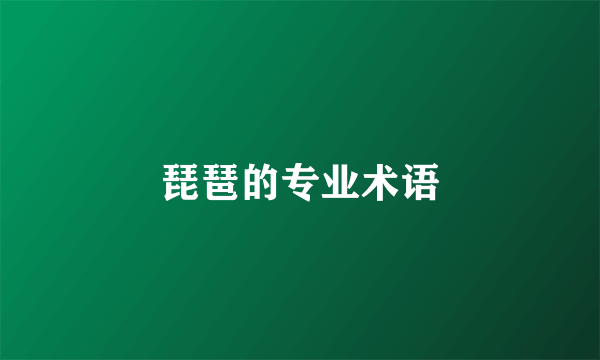 琵琶的专业术语