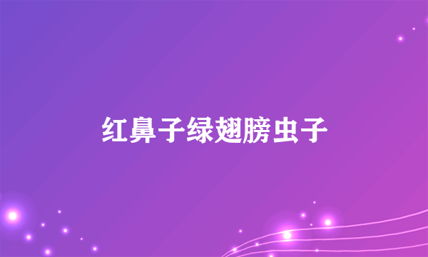 红鼻子绿翅膀虫子