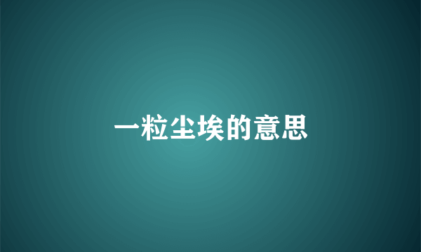 一粒尘埃的意思