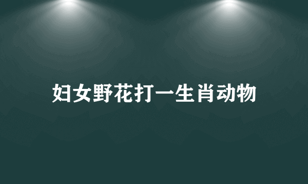 妇女野花打一生肖动物