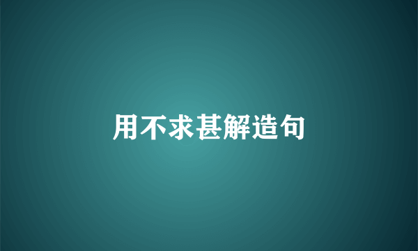 用不求甚解造句