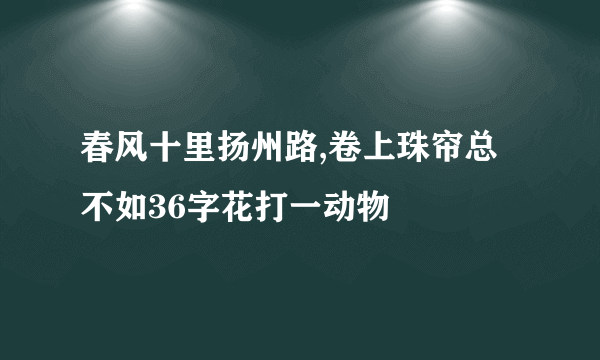 春风十里扬州路,卷上珠帘总不如36字花打一动物