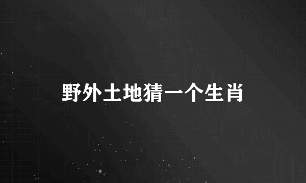 野外土地猜一个生肖