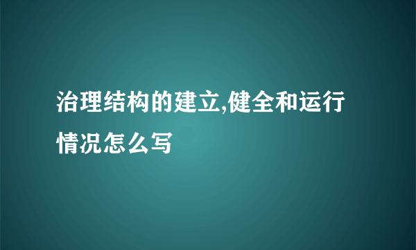 治理结构的建立,健全和运行情况怎么写