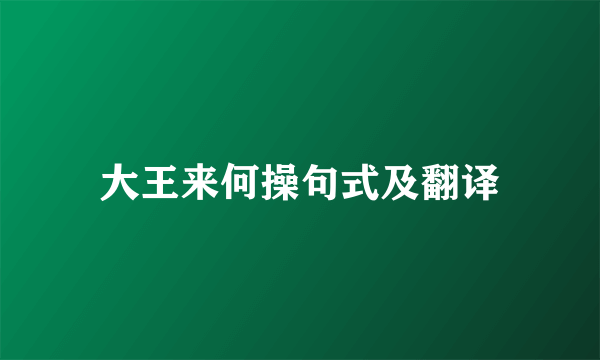 大王来何操句式及翻译