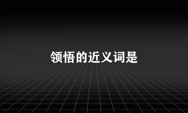 领悟的近义词是