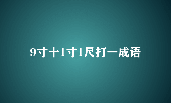9寸十1寸1尺打一成语