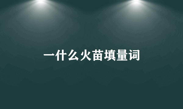 一什么火苗填量词