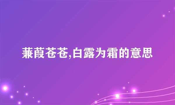 蒹葭苍苍,白露为霜的意思
