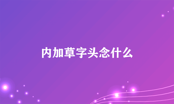 内加草字头念什么