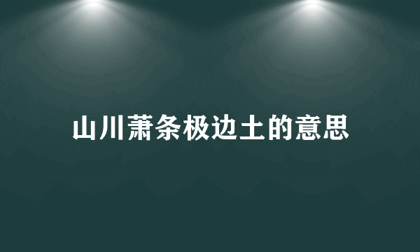 山川萧条极边土的意思