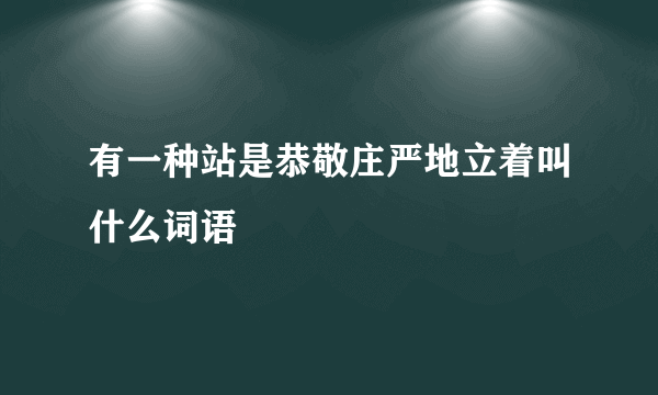 有一种站是恭敬庄严地立着叫什么词语