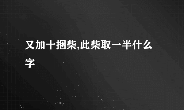 又加十捆柴,此柴取一半什么字