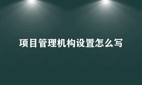 项目管理机构设置怎么写