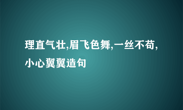 理直气壮,眉飞色舞,一丝不苟,小心翼翼造句