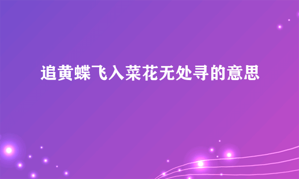 追黄蝶飞入菜花无处寻的意思