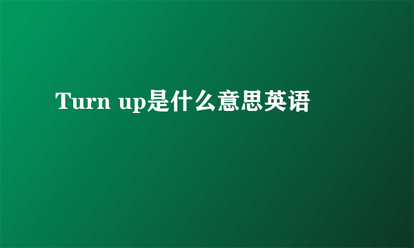 Turn up是什么意思英语