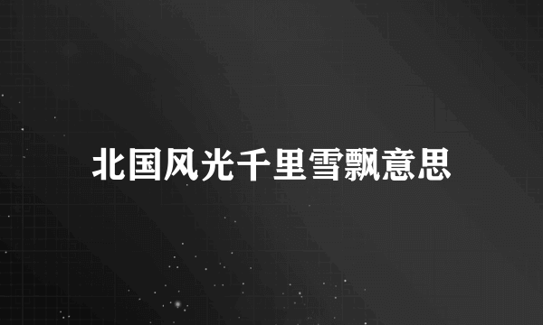 北国风光千里雪飘意思