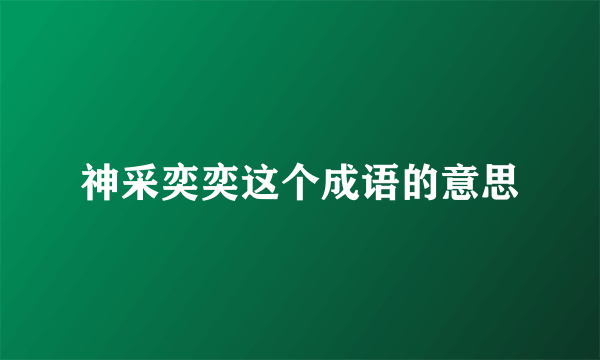 神采奕奕这个成语的意思