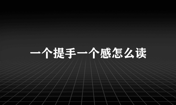 一个提手一个感怎么读