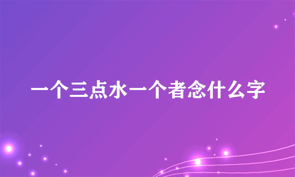 一个三点水一个者念什么字
