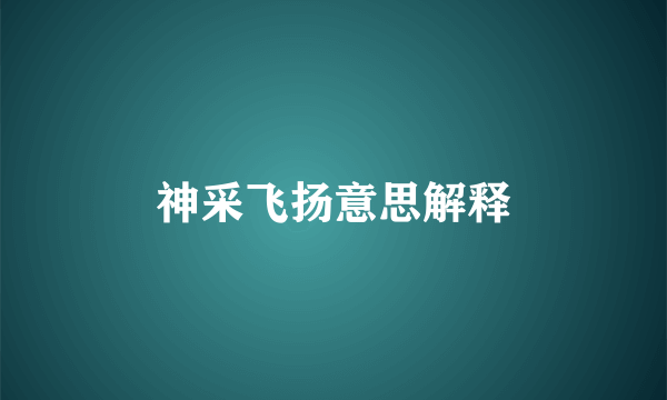 神采飞扬意思解释