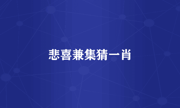 悲喜兼集猜一肖
