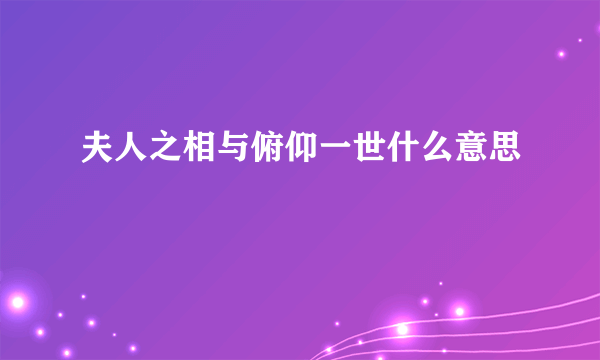 夫人之相与俯仰一世什么意思