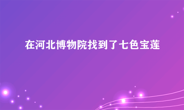 在河北博物院找到了七色宝莲