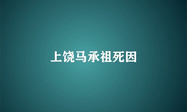 上饶马承祖死因