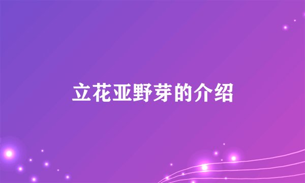 立花亚野芽的介绍