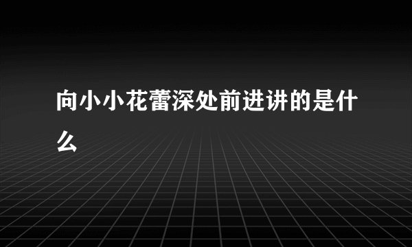 向小小花蕾深处前进讲的是什么